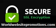  Rapid SSL Secure